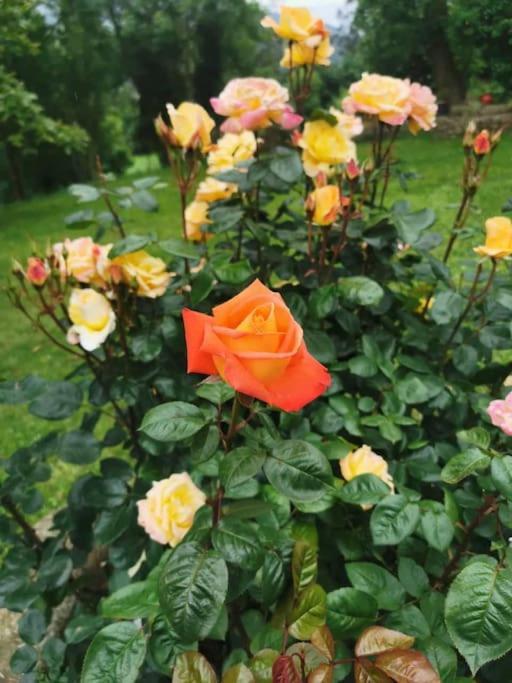 La Flor De Toranzo "Vive Los Valles Pasiegos" Prases Exterior foto